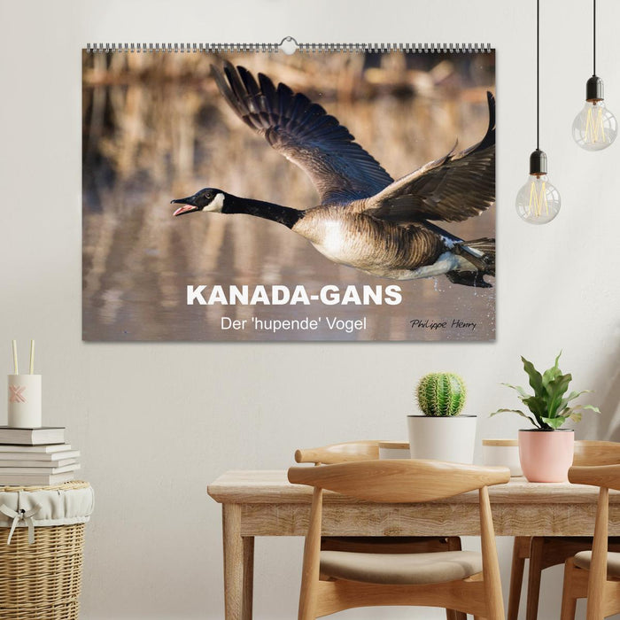 KANADA-GANS - Der 'hupende' Vogel (CALVENDO Wandkalender 2025)