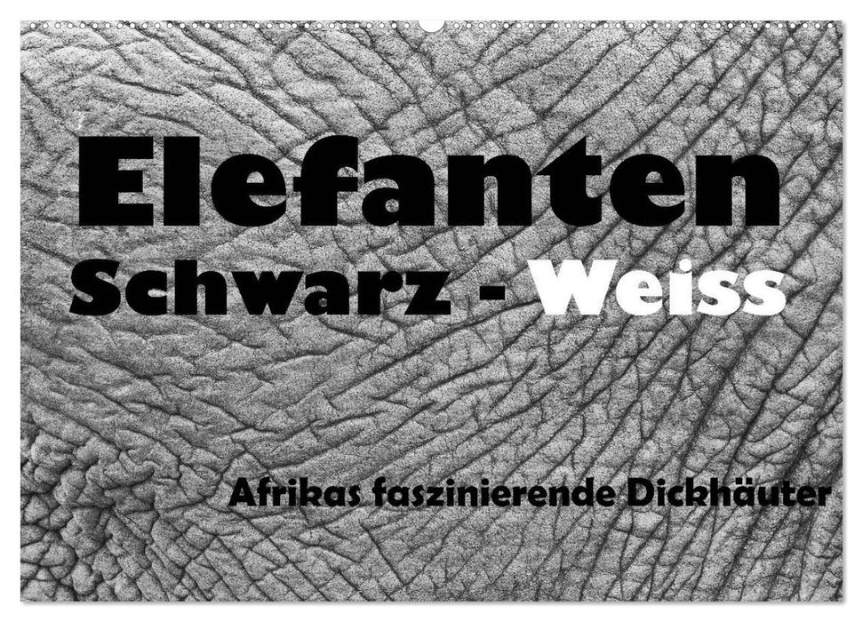 Elefanten Schwarz - Weiss (CALVENDO Wandkalender 2025)