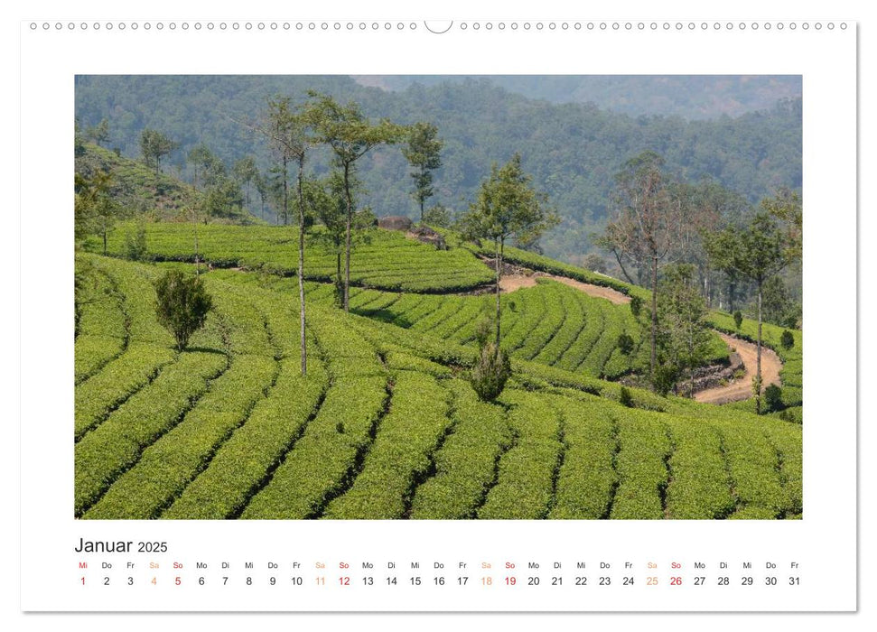 Kerala - Im Süden Indiens (CALVENDO Wandkalender 2025)