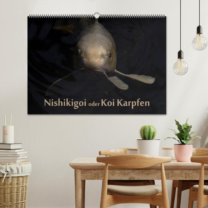 Nishikigoi oder Koi Karpfen (CALVENDO Wandkalender 2025)