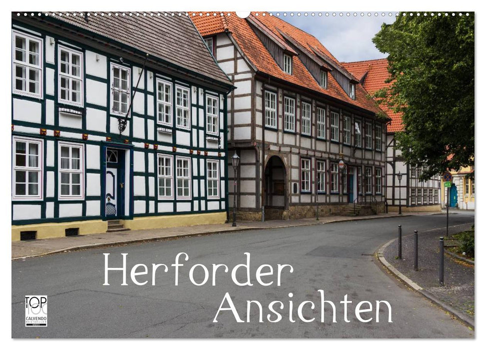 Herforder Ansichten (CALVENDO Wandkalender 2025)