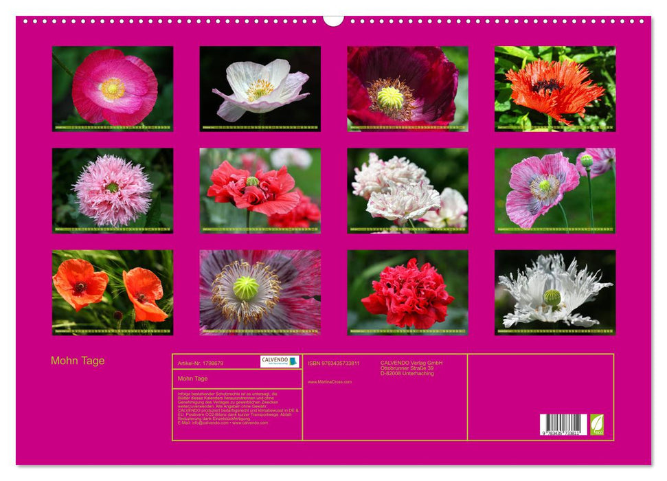 Mohn Tage (CALVENDO Wandkalender 2025)