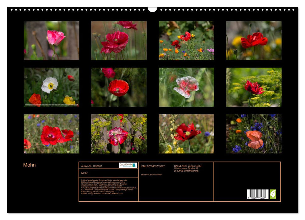 Mohn (CALVENDO Wandkalender 2025)