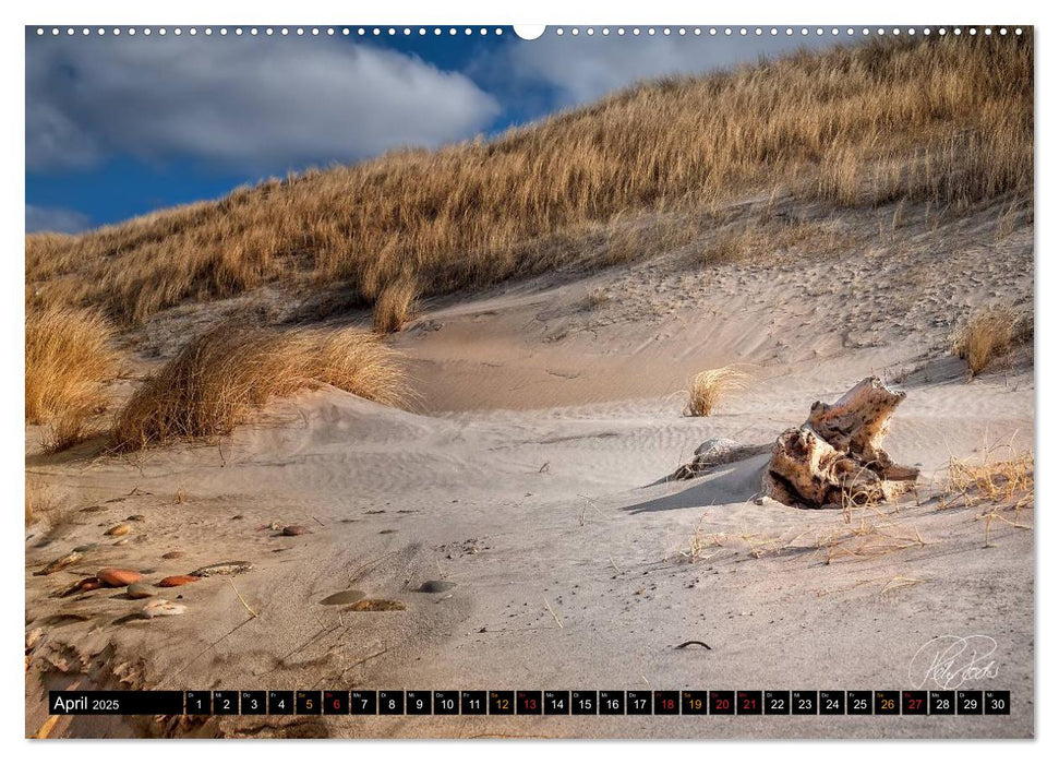 Dünen - an der Nordsee (CALVENDO Wandkalender 2025)