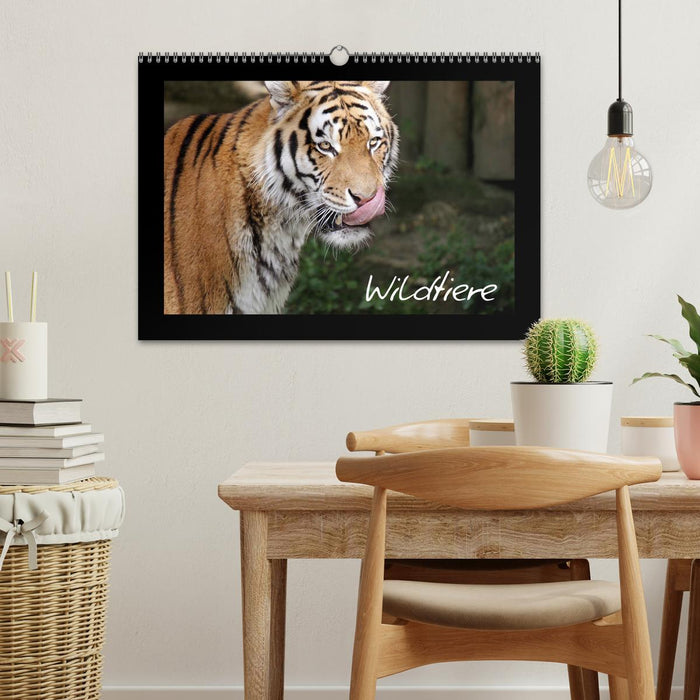 Wildtiere (CALVENDO Wandkalender 2025)