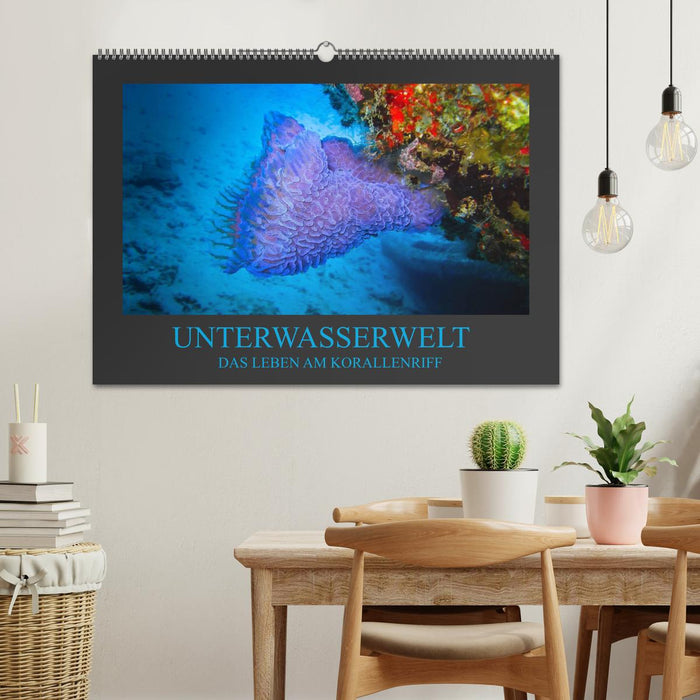 Unterwasserwelt - Das Leben am Korallenriff (CALVENDO Wandkalender 2025)