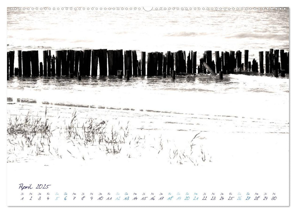 Meeresbilder - Nordsee-Impressionen (CALVENDO Wandkalender 2025)