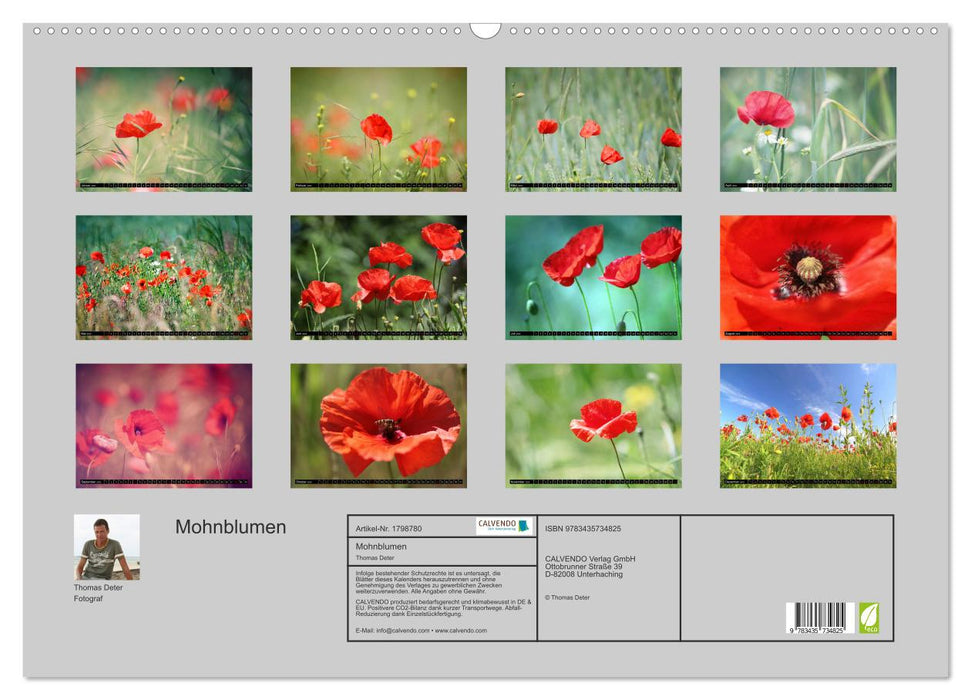 Mohnblumen (CALVENDO Wandkalender 2025)