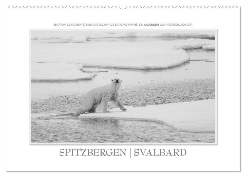 Emotionale Momente: Spitzbergen Svalbard / CH-Version (CALVENDO Wandkalender 2025)