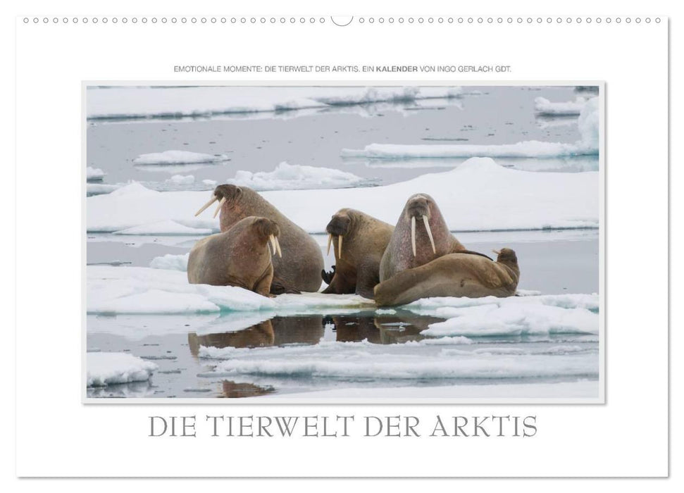 Emotionale Momente: Die Tierwelt der Arktis / CH-Version (CALVENDO Wandkalender 2025)