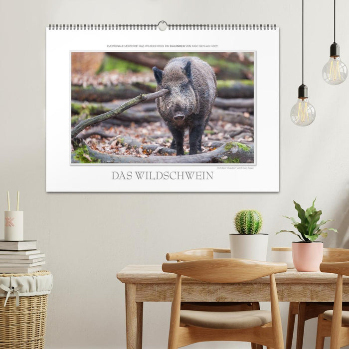 Emotionale Momente: Das Wildschwein. / CH-Version (CALVENDO Wandkalender 2025)