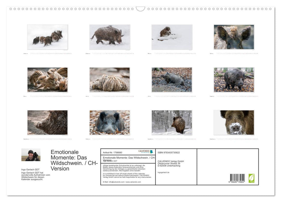 Emotionale Momente: Das Wildschwein. / CH-Version (CALVENDO Wandkalender 2025)