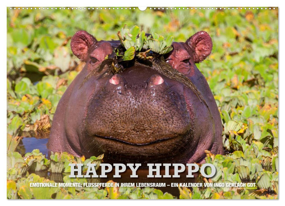 Emotionale Momente. Happy Hippo / CH-Version (CALVENDO Wandkalender 2025)