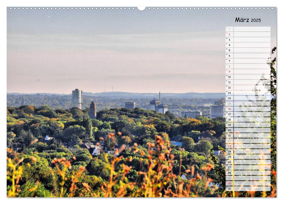 Bochum / Geburtstagskalender (CALVENDO Wandkalender 2025)