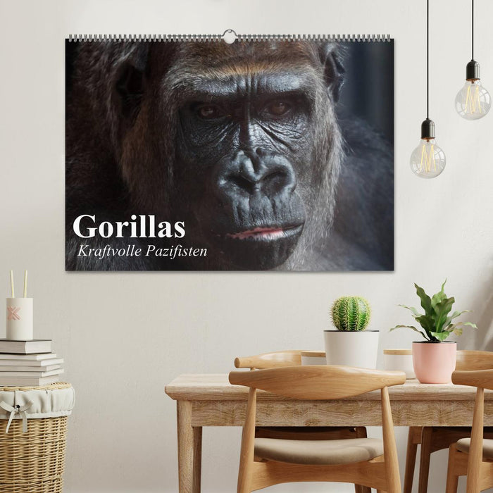 Gorillas. Kraftvolle Pazifisten (CALVENDO Wandkalender 2025)