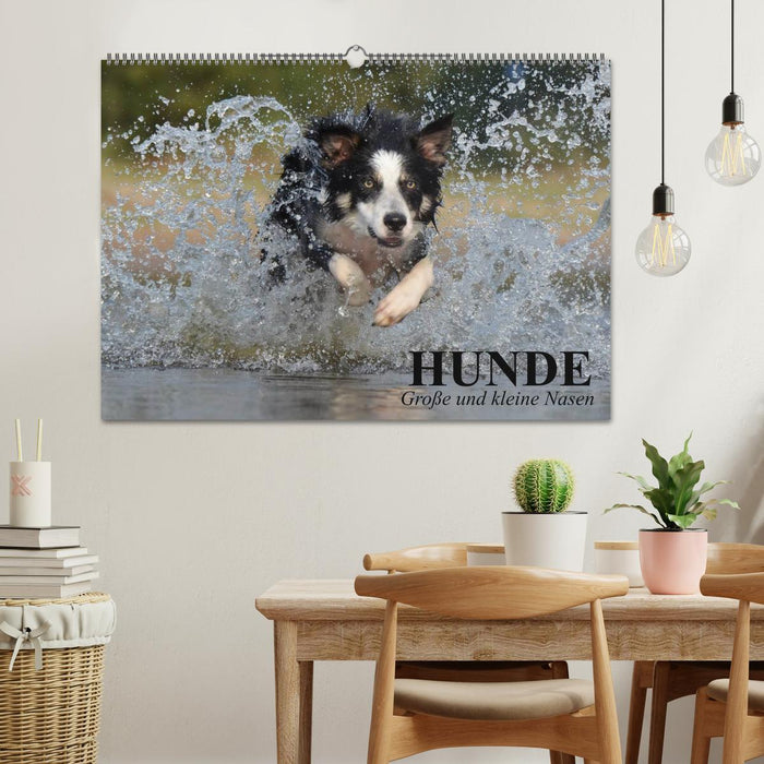 Hunde. Große und kleine Nasen (CALVENDO Wandkalender 2025)