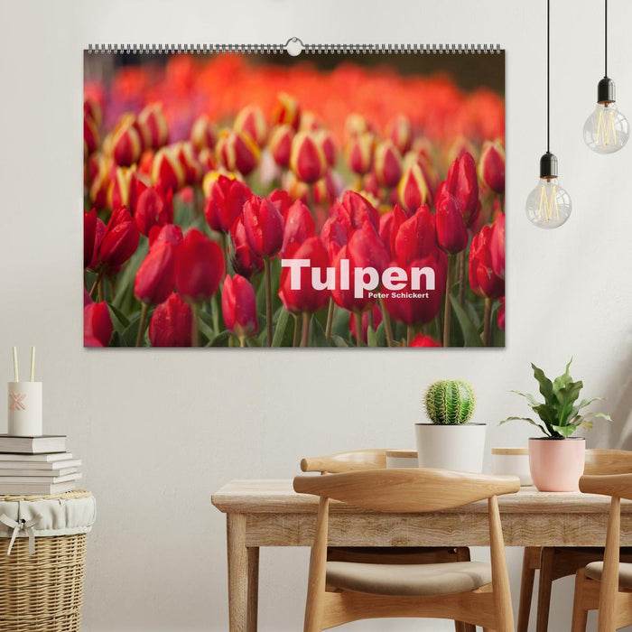 Tulpen (CALVENDO Wandkalender 2025)