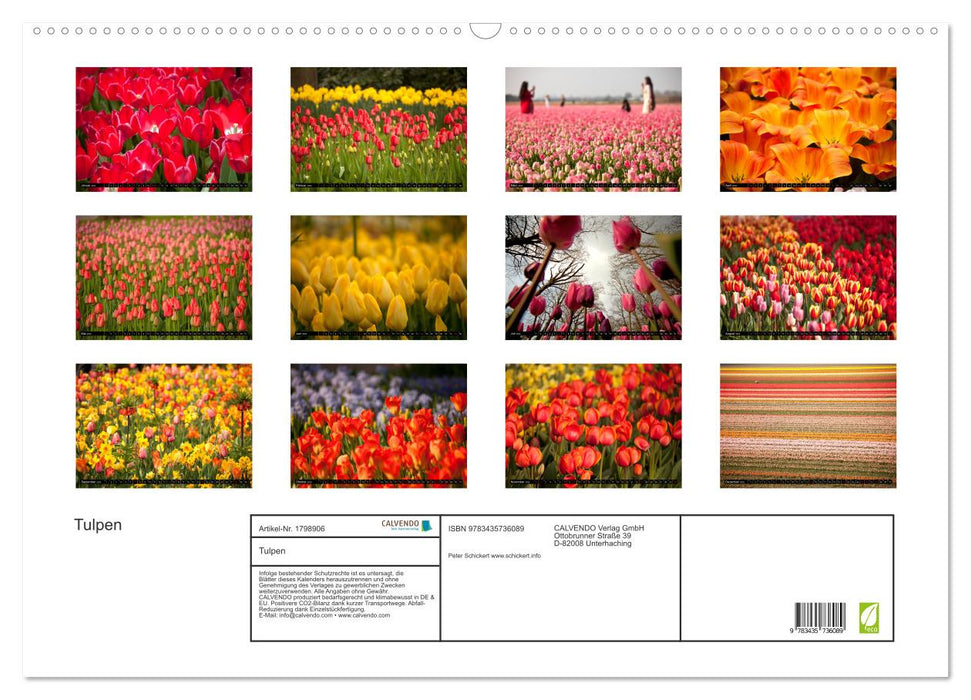 Tulpen (CALVENDO Wandkalender 2025)