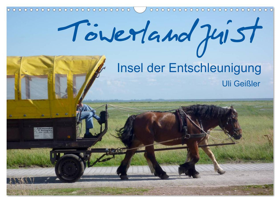 Töwerland Juist (CALVENDO Wandkalender 2025)