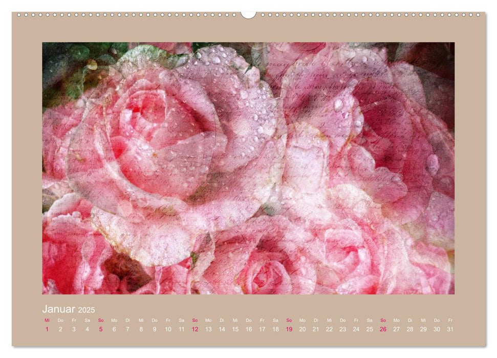 Romantische Rosen (CALVENDO Wandkalender 2025)