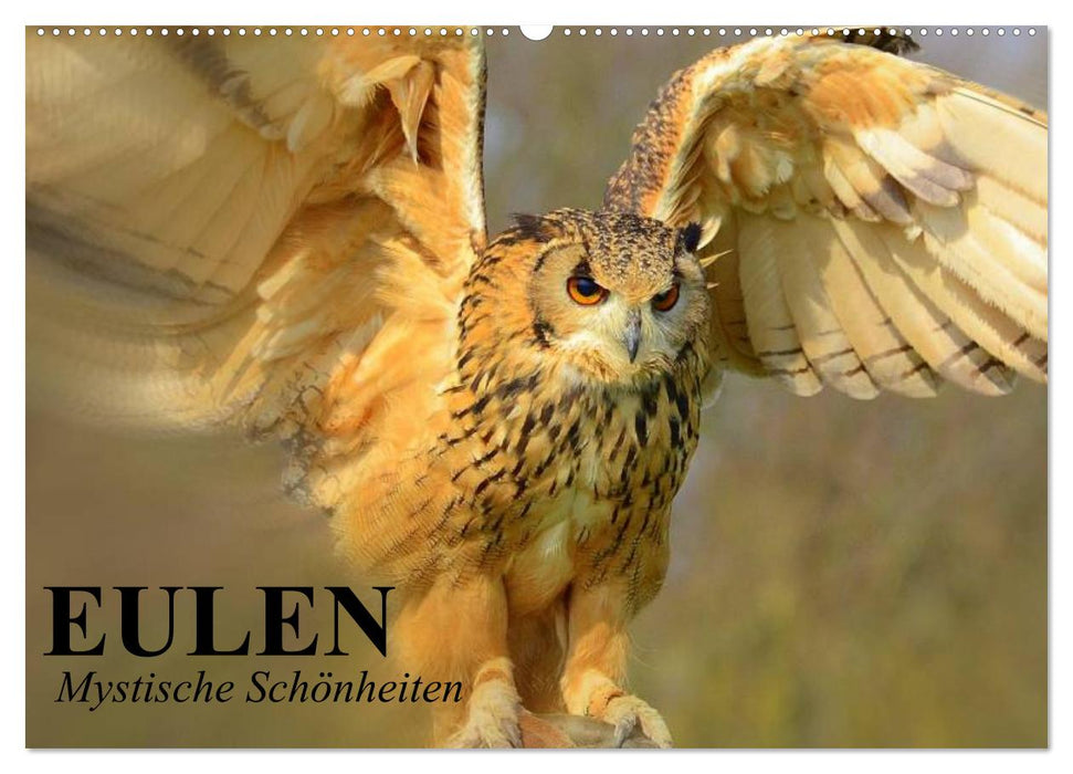 Eulen. Mystische Schönheiten (CALVENDO Wandkalender 2025)