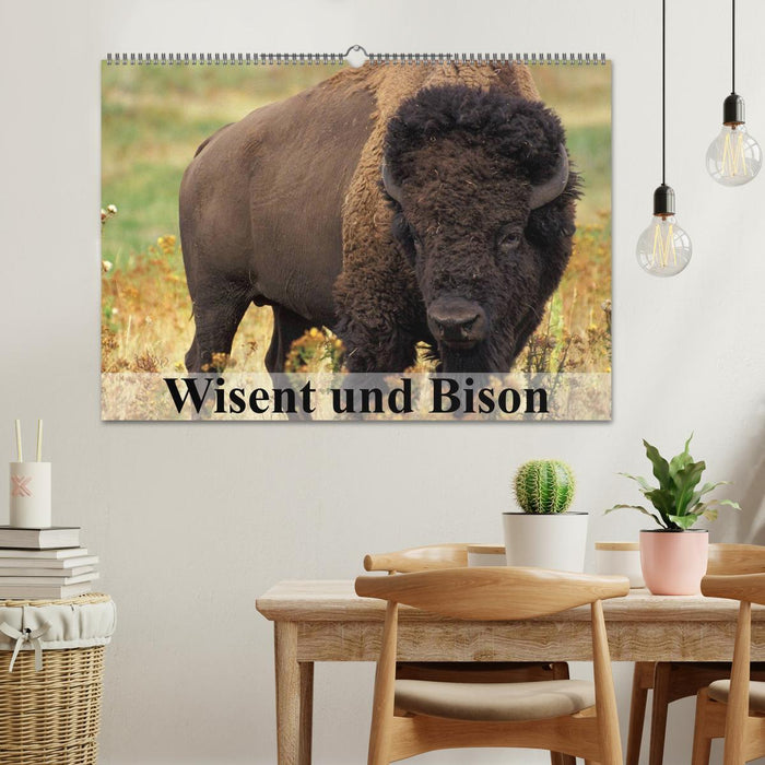 Wisent und Bison (CALVENDO Wandkalender 2025)