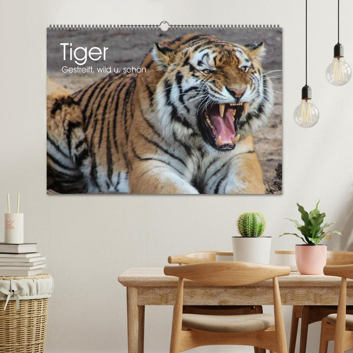 Tiger. Gestreift, wild u. schön (CALVENDO Wandkalender 2025)