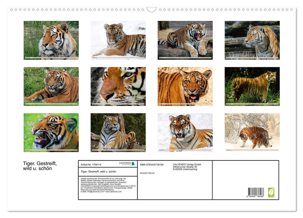 Tiger. Gestreift, wild u. schön (CALVENDO Wandkalender 2025)