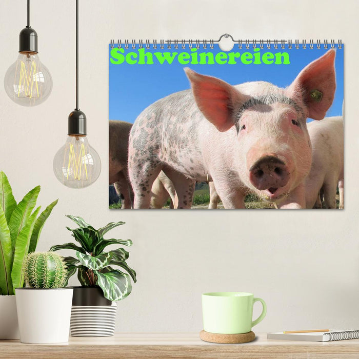 Schweinereien (CALVENDO Wandkalender 2025)