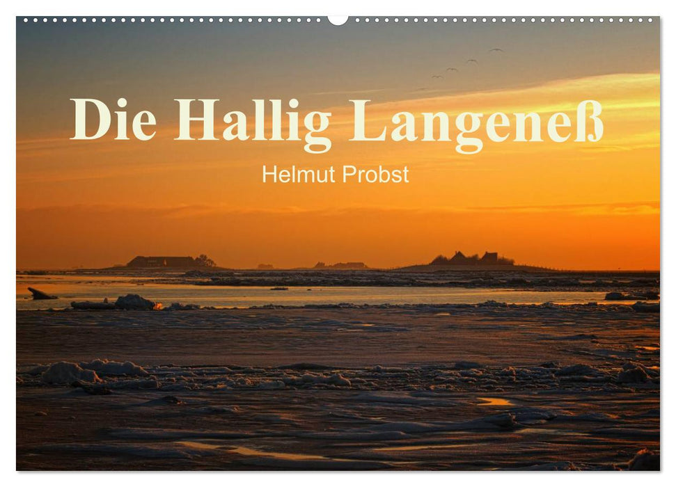 Die Hallig Langeneß / CH-Version (CALVENDO Wandkalender 2025)