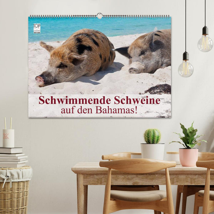 Schwimmende Schweine auf den Bahamas! (CALVENDO Wandkalender 2025)