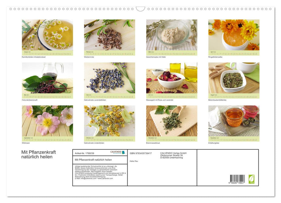 Mit Pflanzenkraft natürlich heilen (CALVENDO Wandkalender 2025)