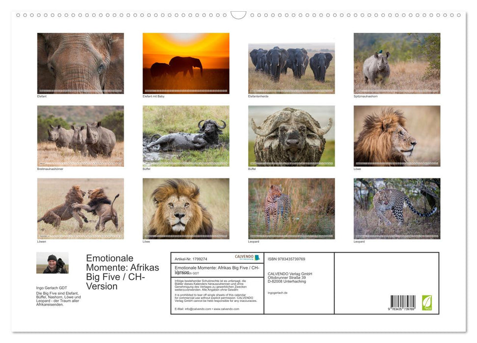 Emotionale Momente: Afrikas Big Five / CH-Version (CALVENDO Wandkalender 2025)