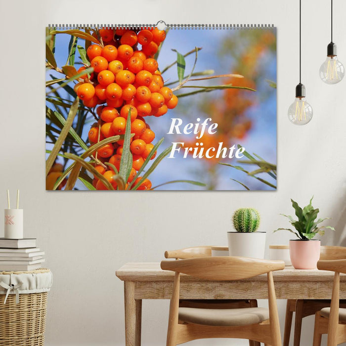 Reife Früchte (CALVENDO Wandkalender 2025)