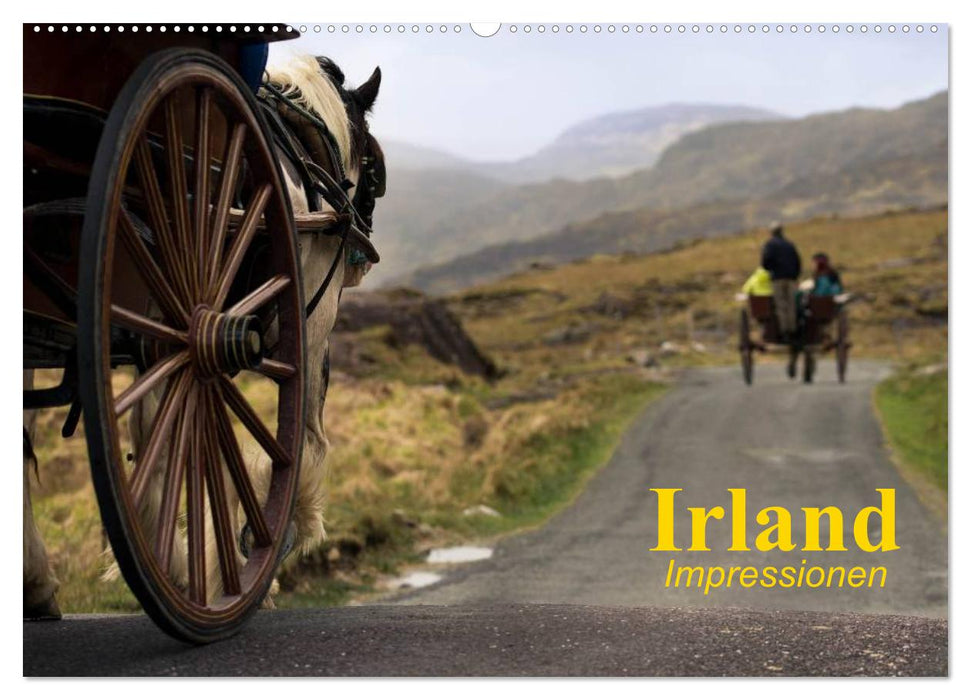 Irland • Impressionen (CALVENDO Wandkalender 2025)