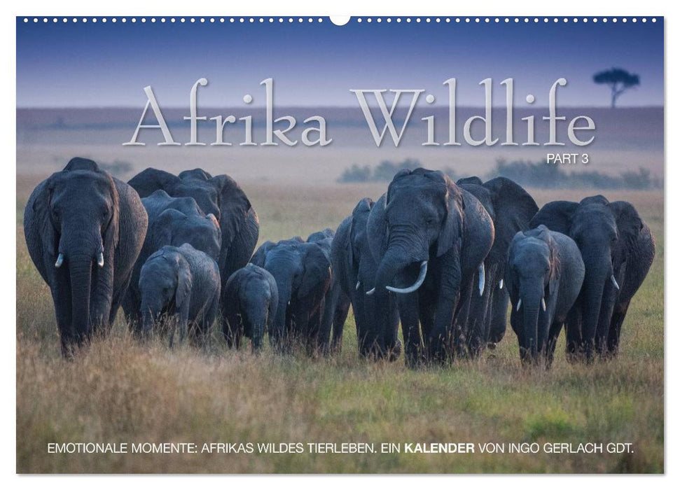 Emotionale Momente: Afrika Wildlife. Part 3. / CH-Version (CALVENDO Wandkalender 2025)