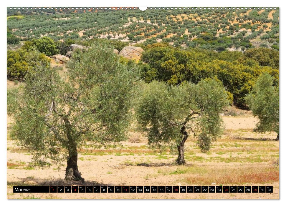 Extremadura - Unbekanntes Spanien (CALVENDO Wandkalender 2025)