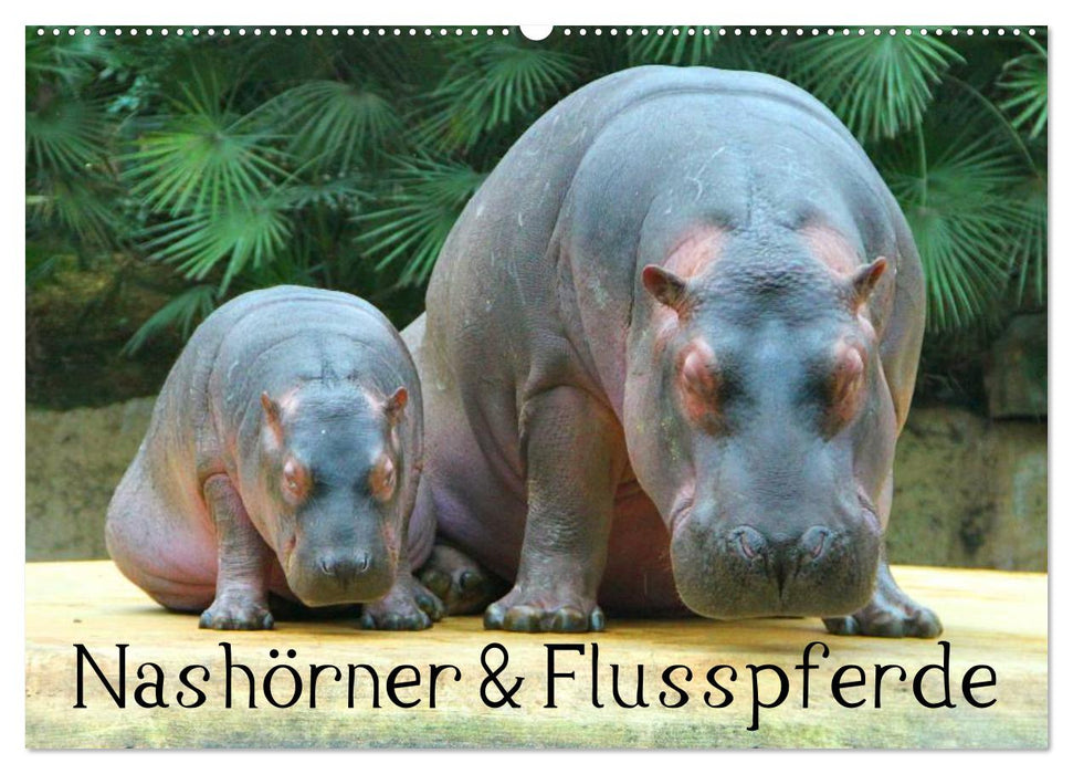 Nashörner & Flusspferde (CALVENDO Wandkalender 2025)