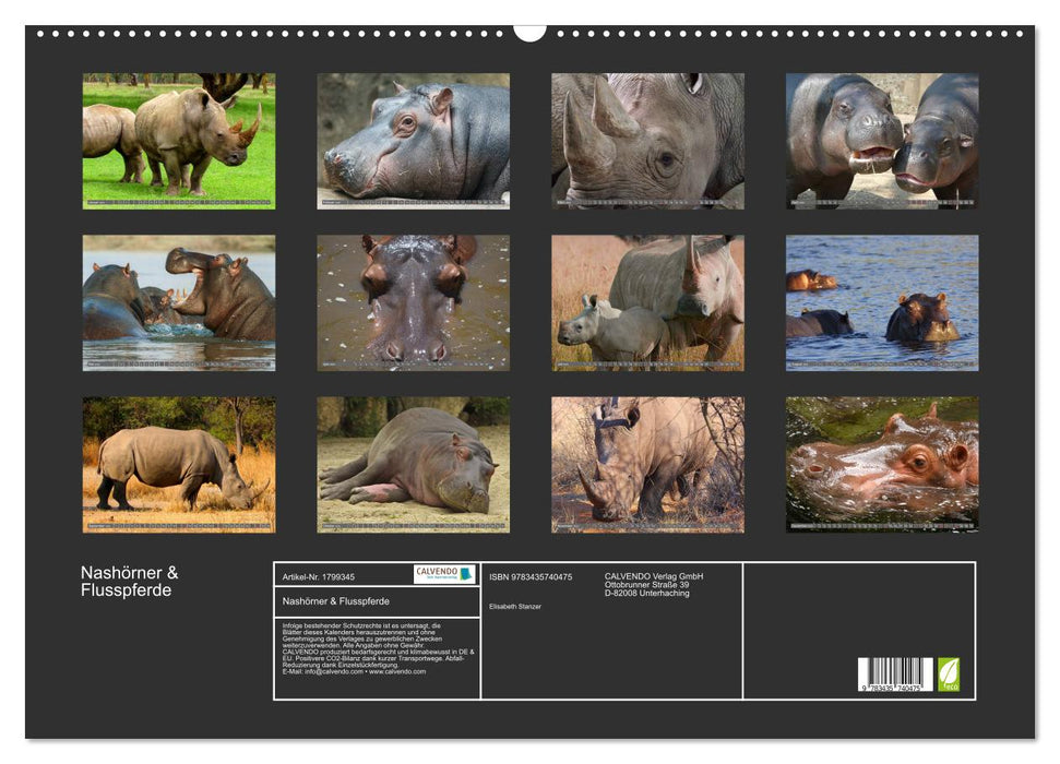Nashörner & Flusspferde (CALVENDO Wandkalender 2025)