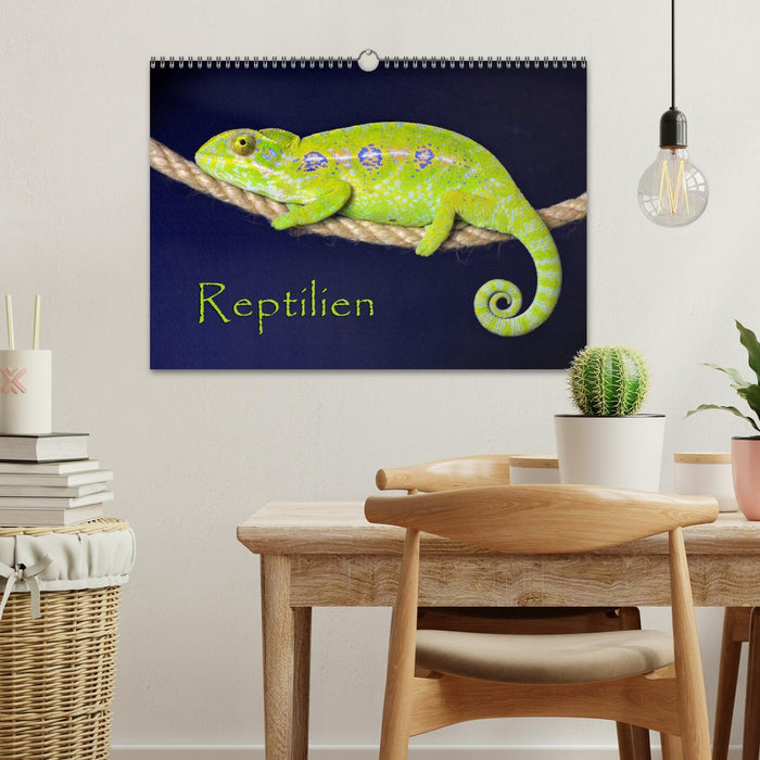 Reptilien (CALVENDO Wandkalender 2025)