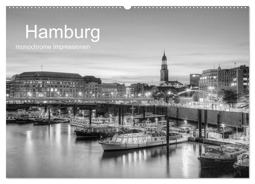 Hamburg monochrome Impressionen (CALVENDO Wandkalender 2025)