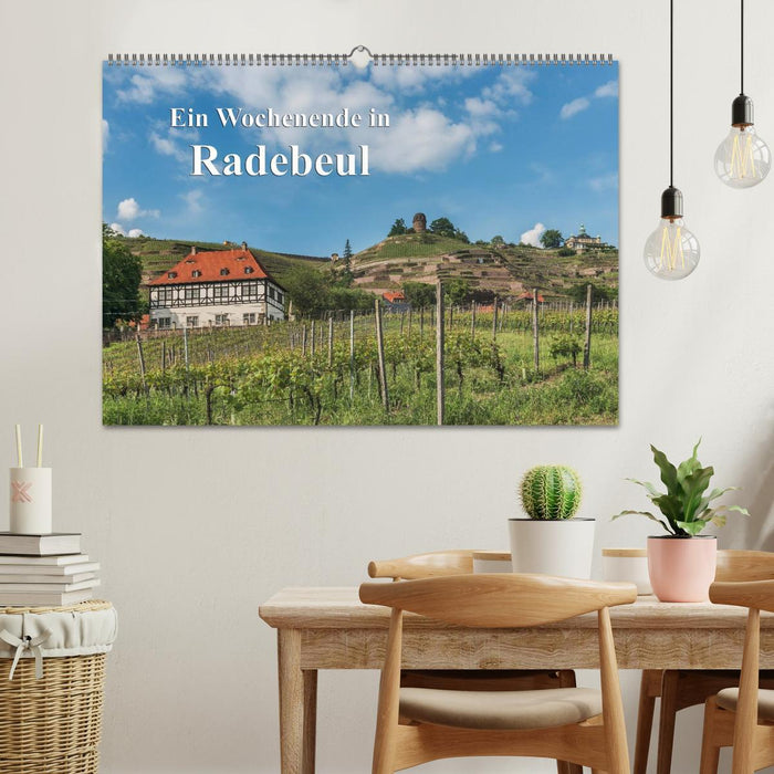 Ein Wochenende in Radebeul (CALVENDO Wandkalender 2025)