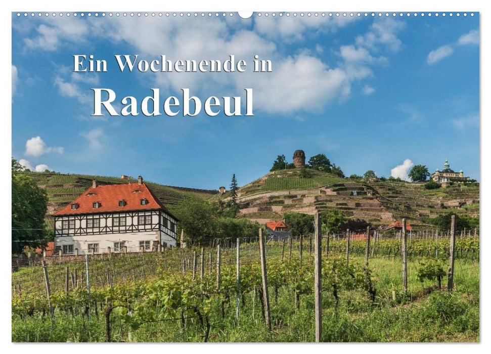 Ein Wochenende in Radebeul (CALVENDO Wandkalender 2025)