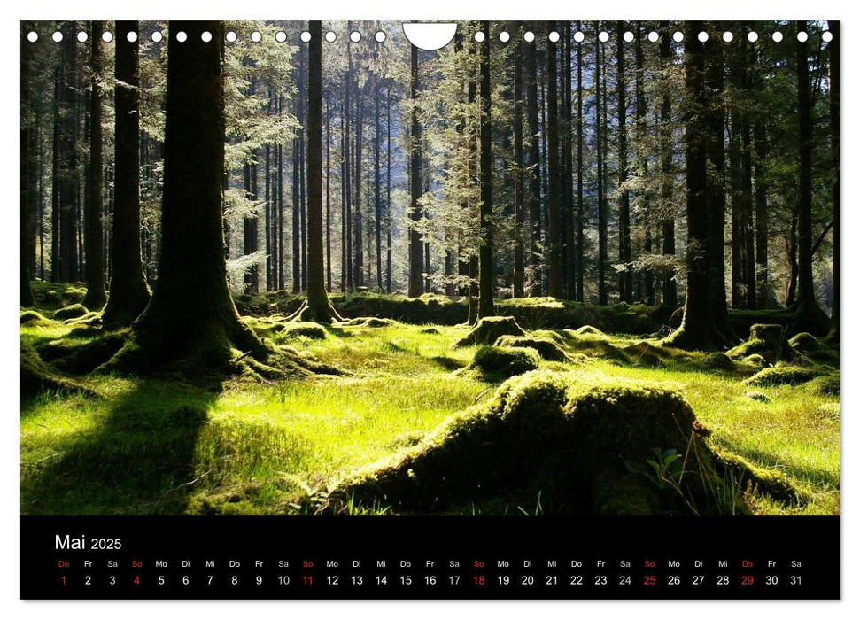 Irland County Cork (CALVENDO Wandkalender 2025)