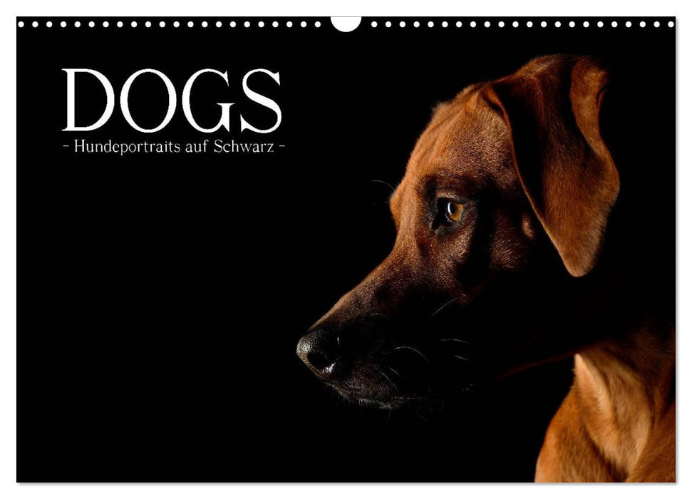 Dogs (CALVENDO Wandkalender 2025)