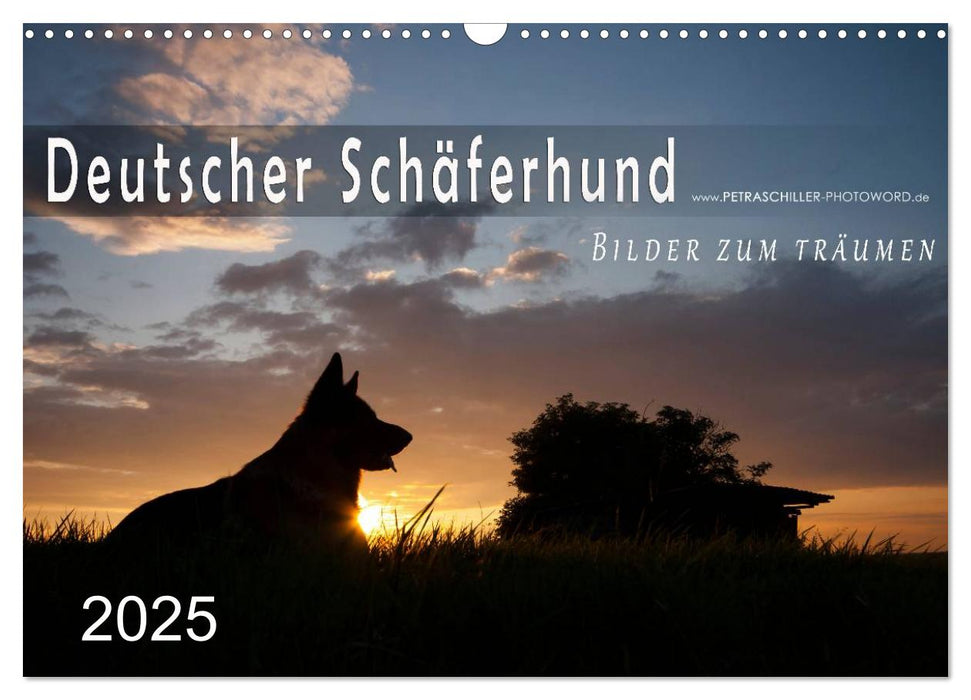 Deutscher Schäferhund / CH-Version (CALVENDO Wandkalender 2025)