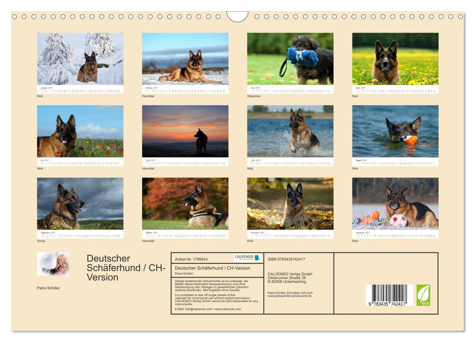 Deutscher Schäferhund / CH-Version (CALVENDO Wandkalender 2025)