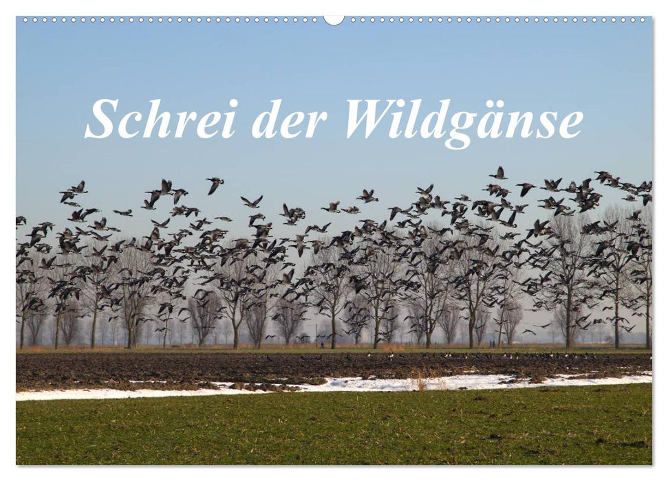 Schrei der Wildgänse (CALVENDO Wandkalender 2025)