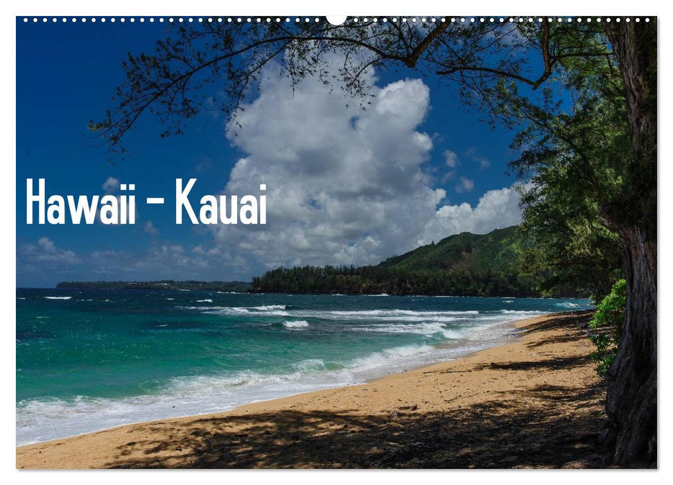 Hawaii - Kauai (CALVENDO Wandkalender 2025)