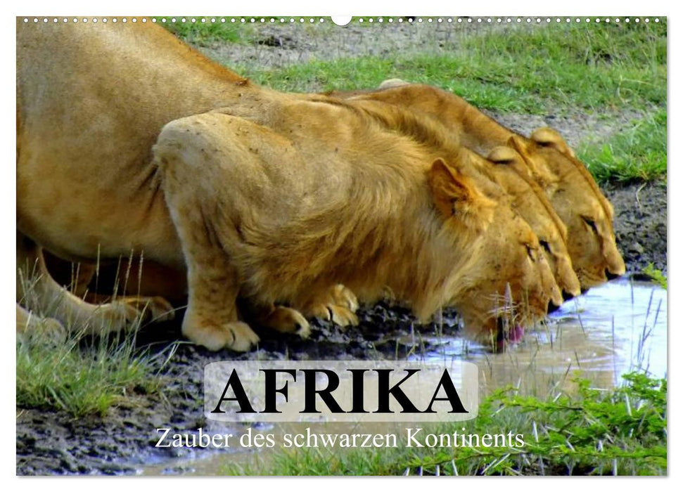 Afrika. Zauber des schwarzen Kontinents (CALVENDO Wandkalender 2025)